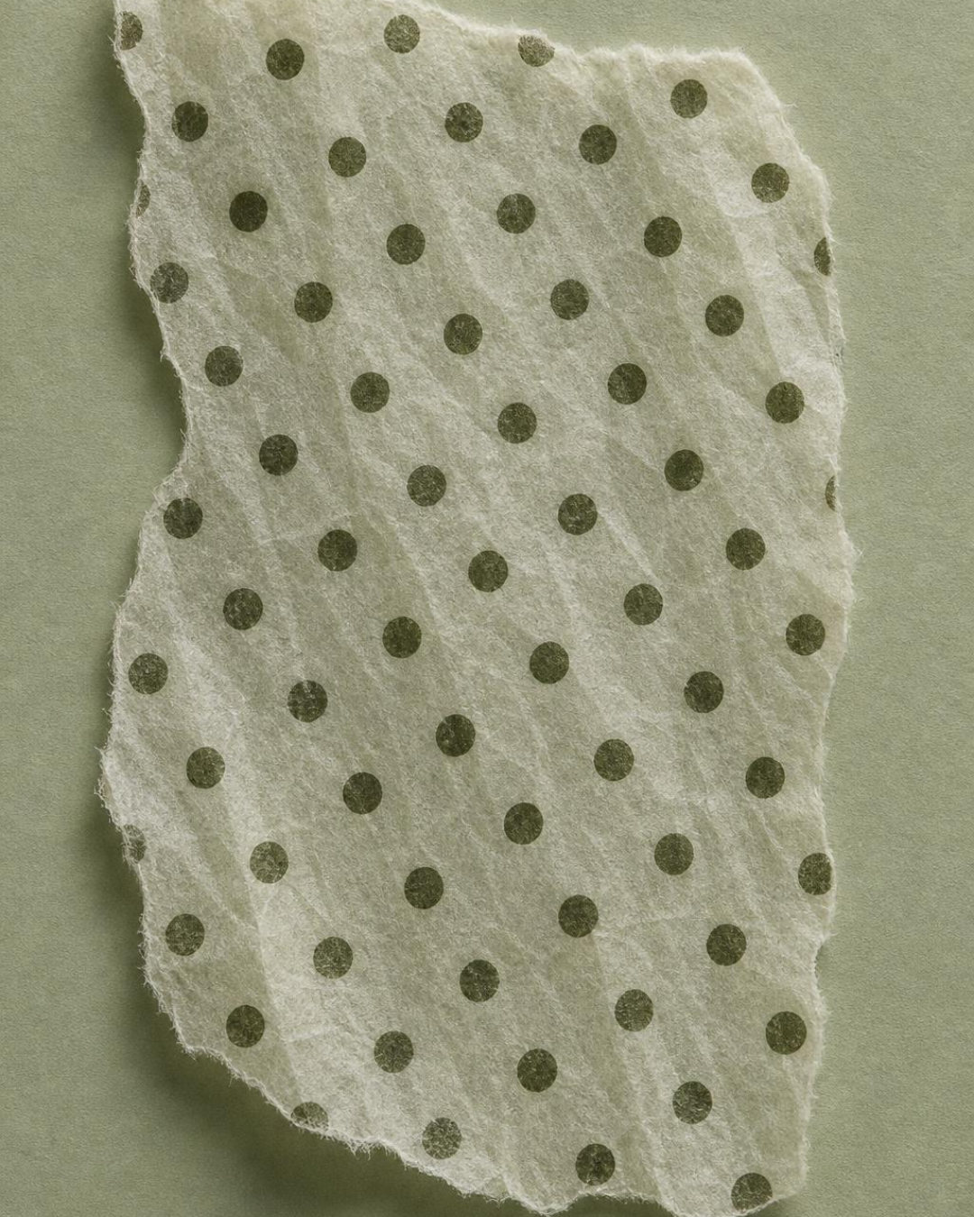 Earthly Delights polka-dot tissue texture study